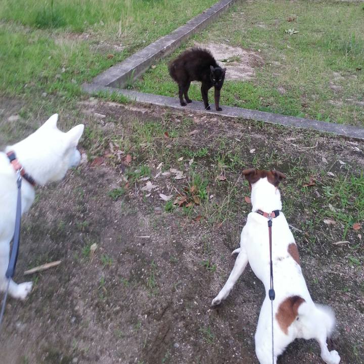 D326d38a cede 493f a199 a7f049f7d0a5