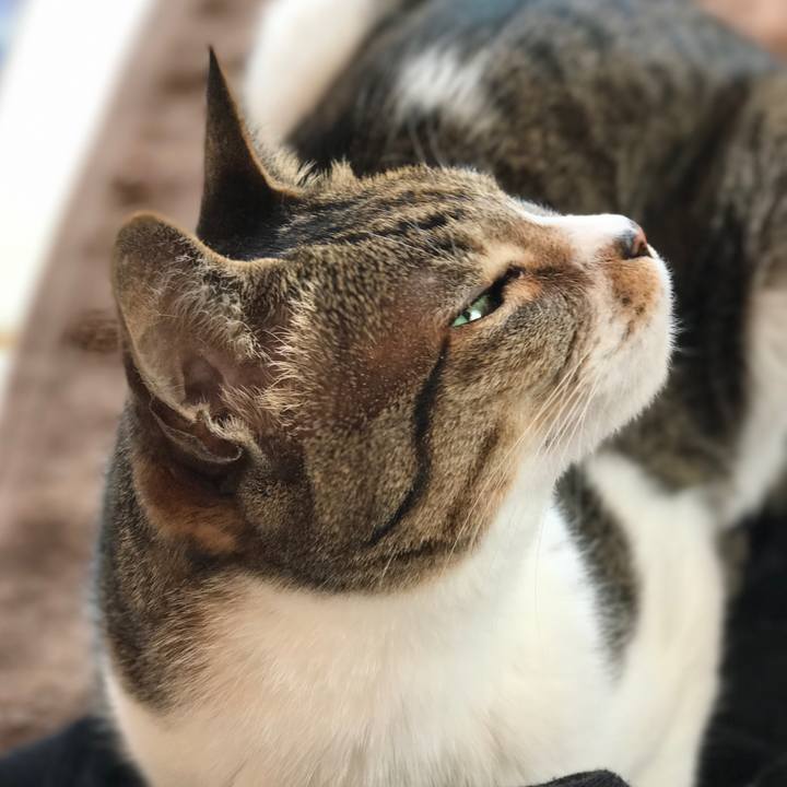 D3278b6e 12df 4c73 a5e8 4b446385f7d0