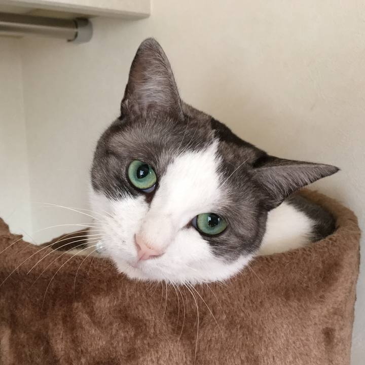 D327d028 e07e 4683 8700 b8f48b32d12a