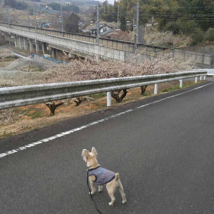 D3294f5f 5a60 4424 9c8f 3405b73930a0