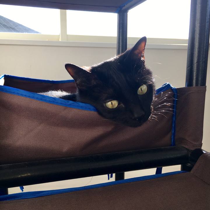 D3297402 d8a3 4bb2 a375 20603835cb65