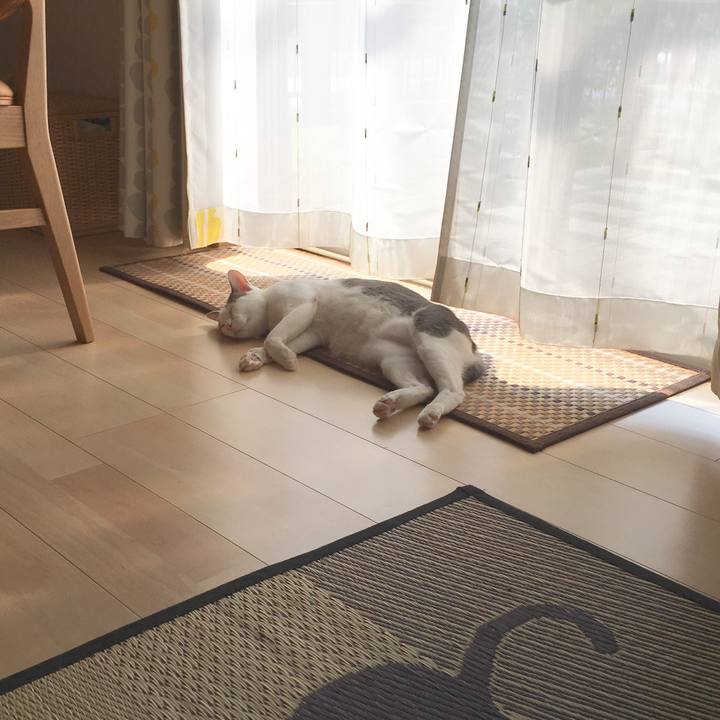 D32a48db 381d 4dc5 ad0c a2f6d466886a