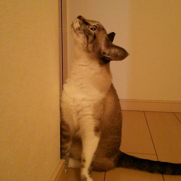 D32b41a3 d722 4f15 937f 2ce9d1d6fb96