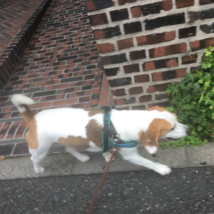 D32b8f67 811f 4a82 945d adf3cebefefa