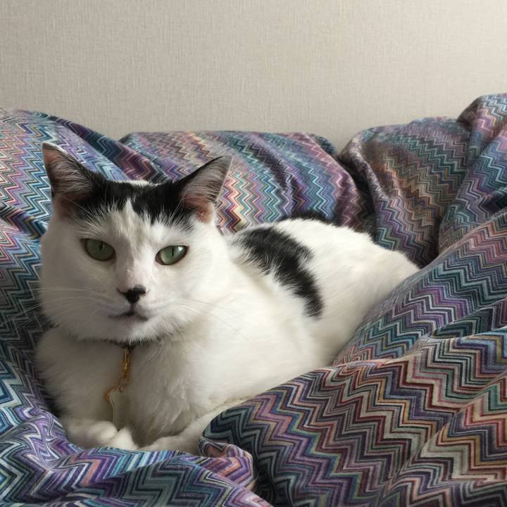 D32bb3ee 807f 4e74 818b 693d783bd158