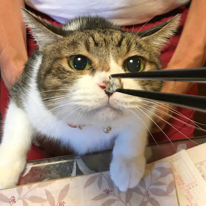 D32c1036 6049 40ab a554 b4c8d49f2327