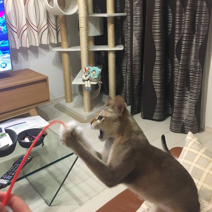 D32c11ad cc06 424c 8858 c7009bca31b0