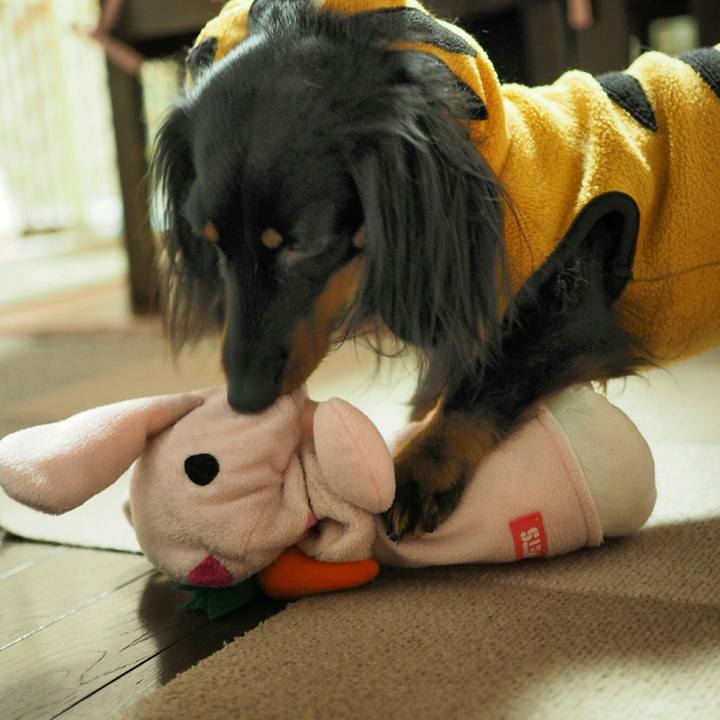 D32ca3b6 4cdc 406d b7a0 288097a4d192