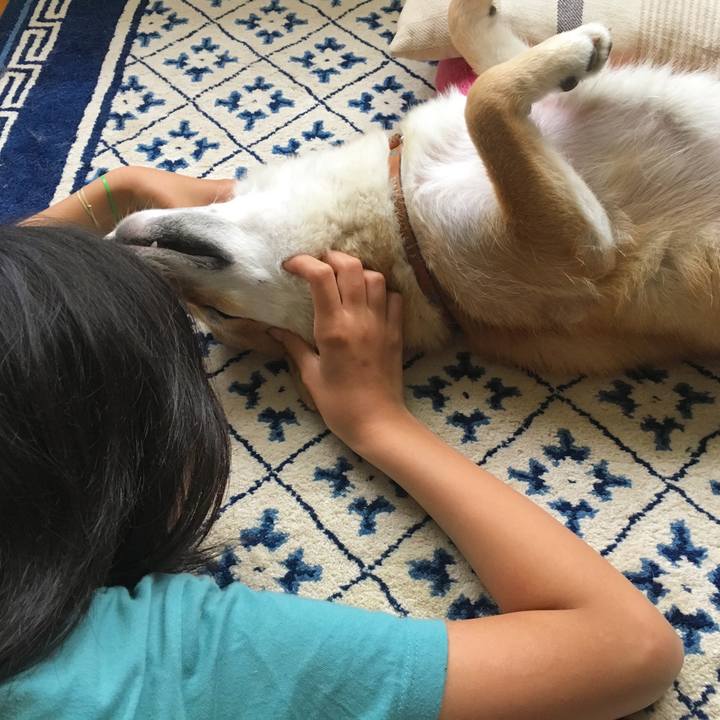 D32cdb29 c9ff 429d b0aa ce1d6c135f52