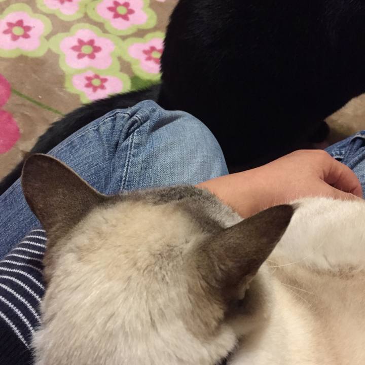 D32e331d c089 4f3e b934 11f88c9268b2