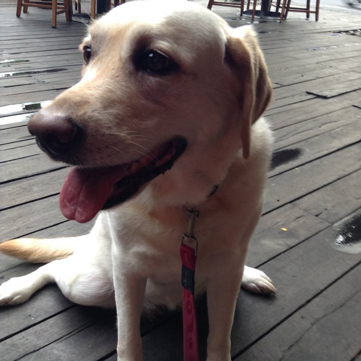 D32e4e1d 697c 4f9d 8f04 ac71644806c7