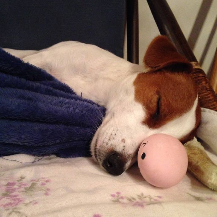 D32eb068 1e0f 4003 ba74 02c988f24919