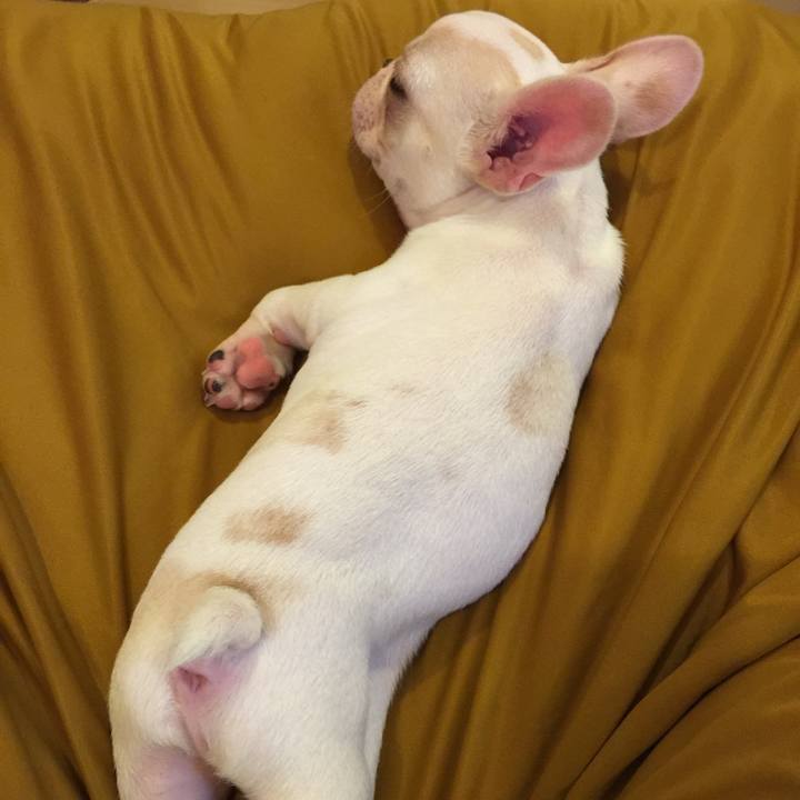 D32eb818 3c10 4630 bdd4 73c6ea4e3fb9