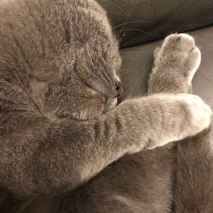 D32ecaad e95a 4b49 a5f3 b158ee726bdd