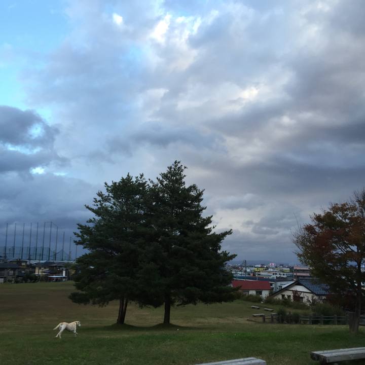 D32f6f9b 582c 4a5a b4ce 2e0dc8eba9b2