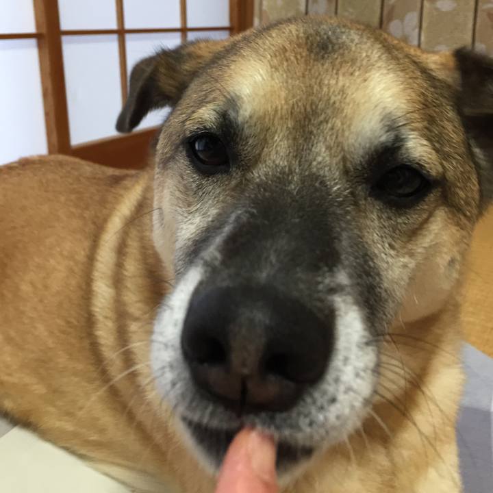 D32f8e9b 7108 4048 bcf7 3a335fc01b5e