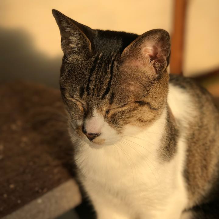 D32ffc56 9bc8 4398 b595 ab63625afa4b