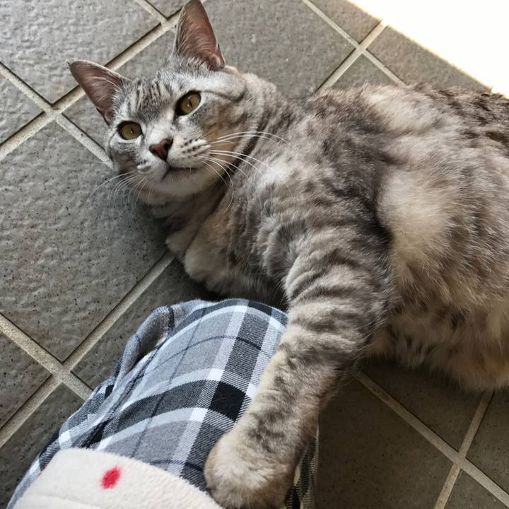 D3303fee 294a 4497 8d53 1ed98fc68681