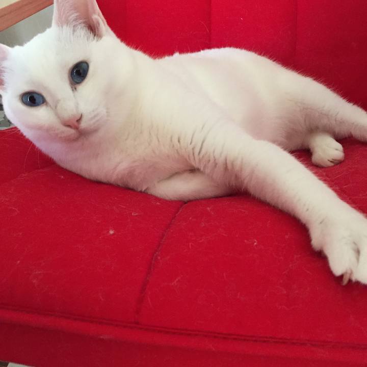 D3309f16 e382 44a2 96cf 07cf4b239571