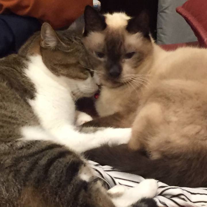 D331147b daed 4c9b 854c 54f89bc049de