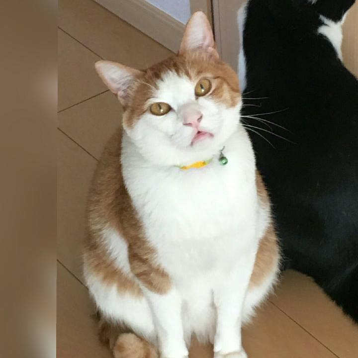 D331b06e 091f 4db0 8a2e d9bedb51b54a