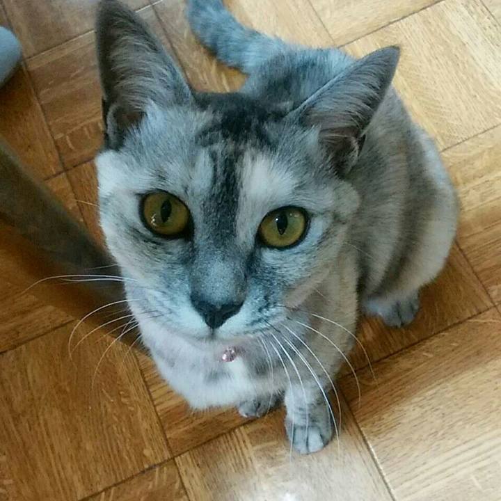 D33304bf 6fd2 48a6 8d7d 0ac39d46ee0e