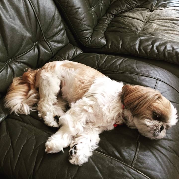 D3334bf3 8ded 4de4 8363 5523e5d1e644