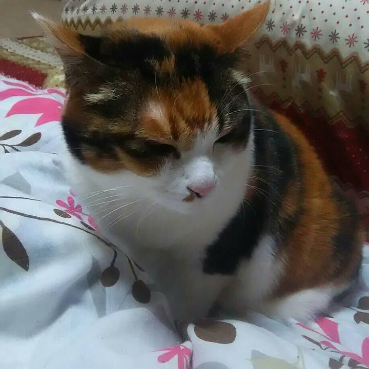 D334c0a3 64c4 4094 8f82 278335fb10f6