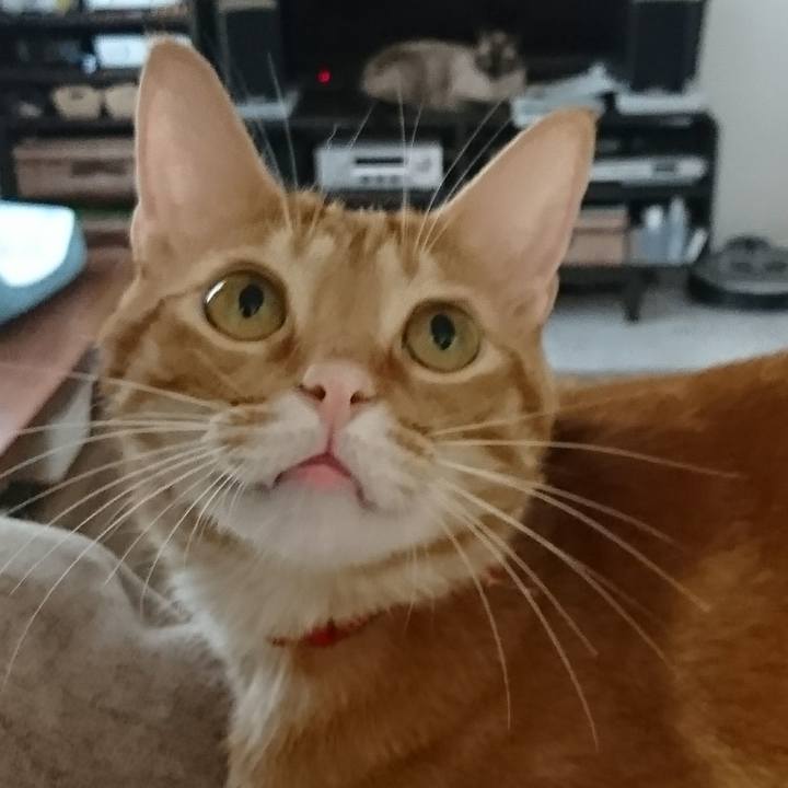 D3351a05 4552 43d8 9aa9 feca266569b5