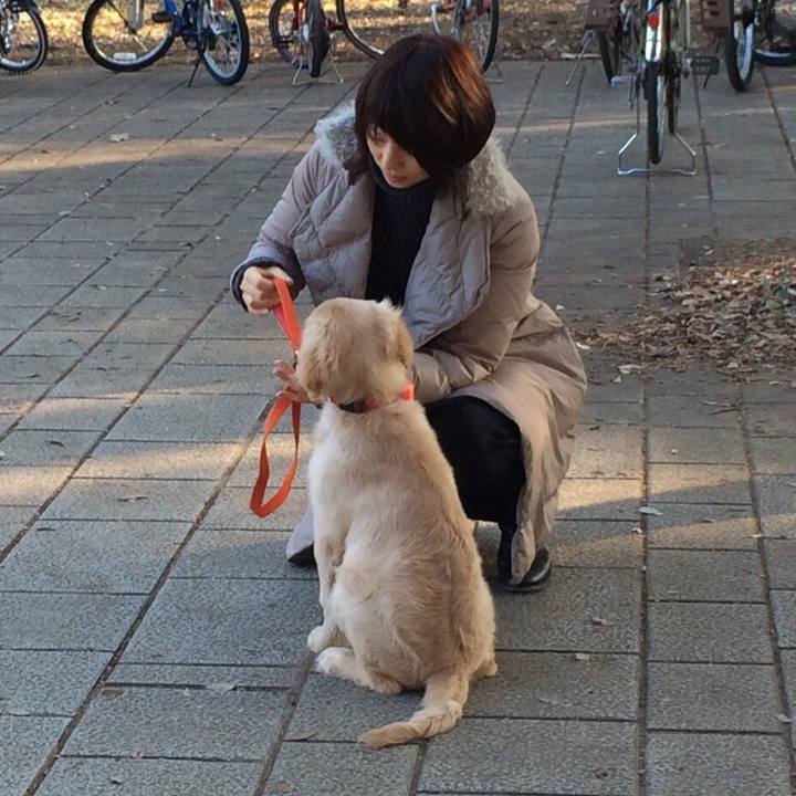 D335472d 2776 4a4b a7fe ec83af934970