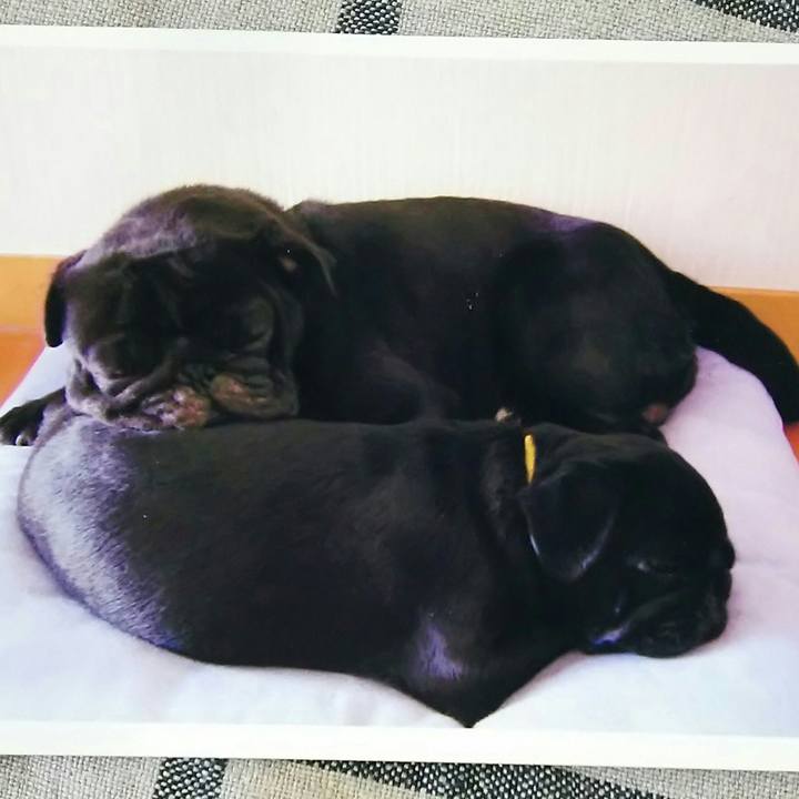 D3359feb 77f9 4c1f b8bf 1208c84c80c2