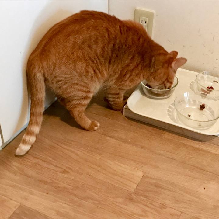 D336301a 1044 4315 89cd 1fb6f20778ee