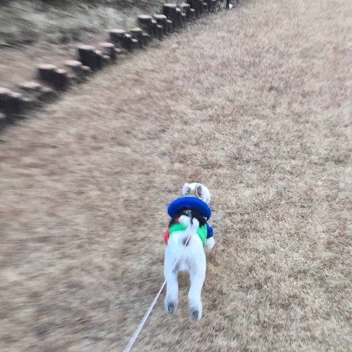 D3365660 0398 4248 8753 1a45624458f6