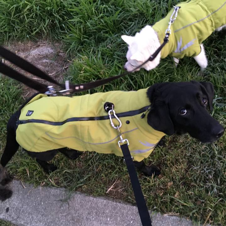 D33659af 173b 4589 95d0 dc52804da46d