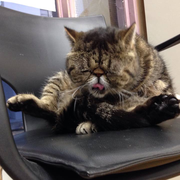 D3367ab3 76ba 4ee6 8d66 cef2bac4d326