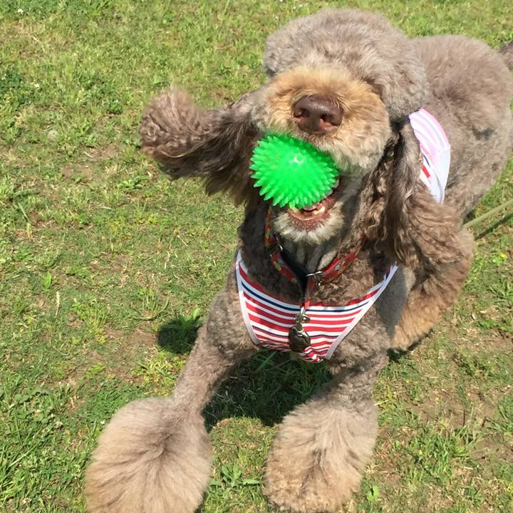 D336ce51 35d8 4a0e ab47 1929c5c1d939