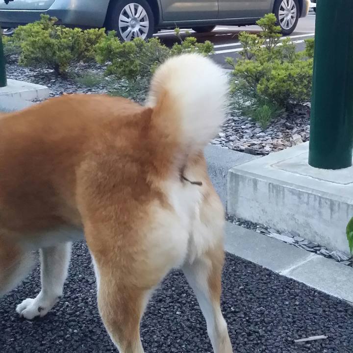 D336e8ff 7551 44fb a9de 4fee7976a4c5