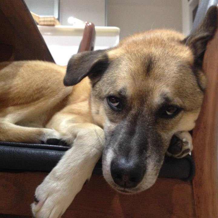 D33740fa 99dc 4166 8387 86385b23489d