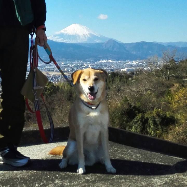 D3375806 3d0b 4462 8b01 6dd136d9dfed