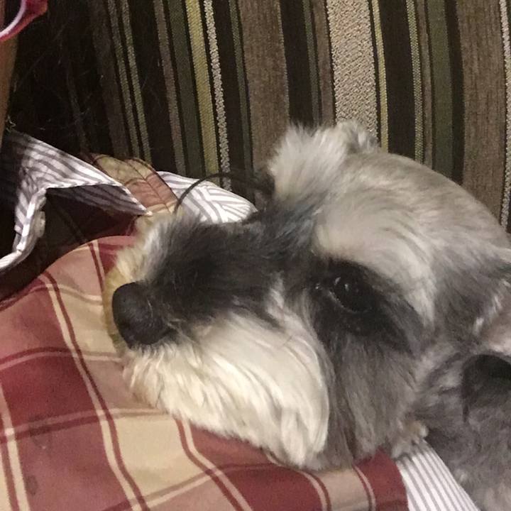 D337b453 de5a 422c 8569 abee1d964689