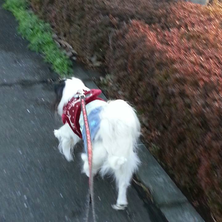 D337df61 ed81 4259 949a c6e782d3409a