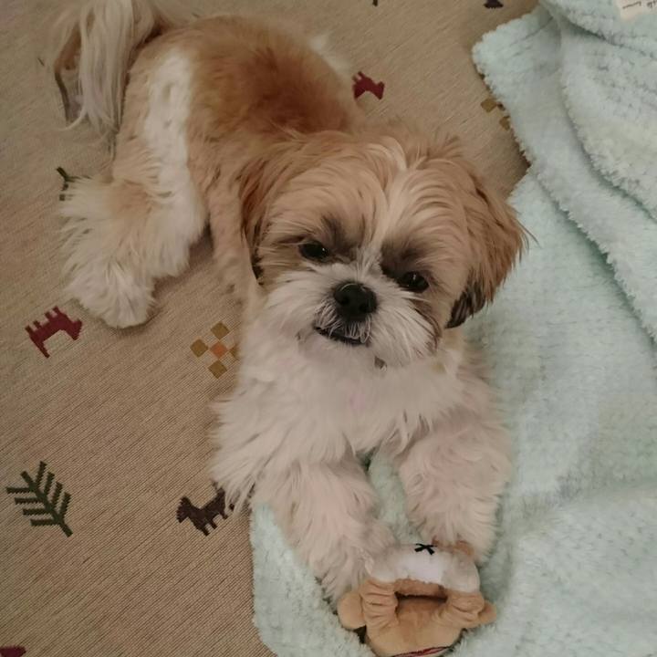 D3380358 32be 41a4 b251 a8351671bee2