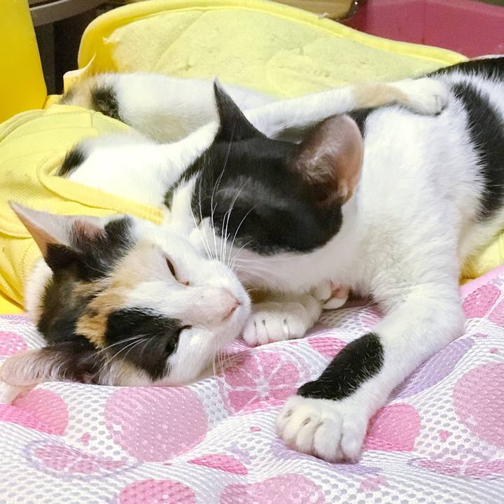 D3383170 a3e9 4021 a013 6989b923513b