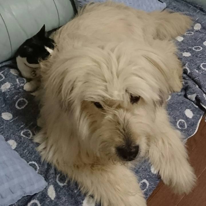 D3384821 5f8f 41f4 af20 ac89fdb6765b