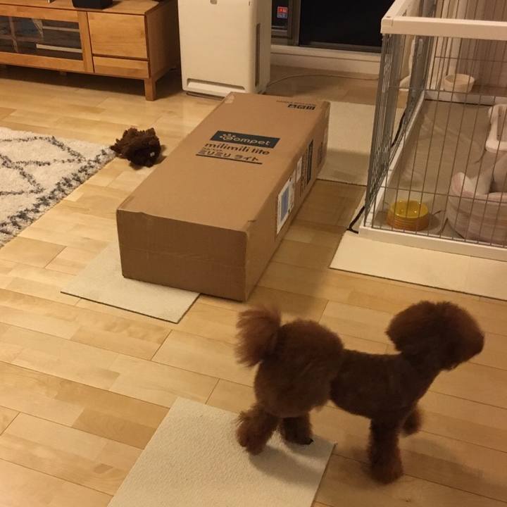 D338949e 1829 49b1 a0bc f375e64077ab