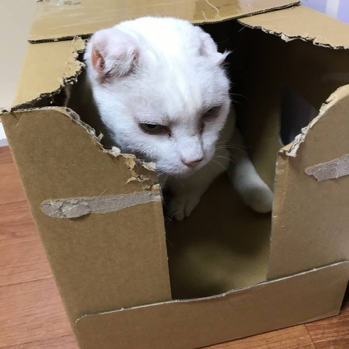 D338fffc 7d91 4325 9767 3b16c2a87427