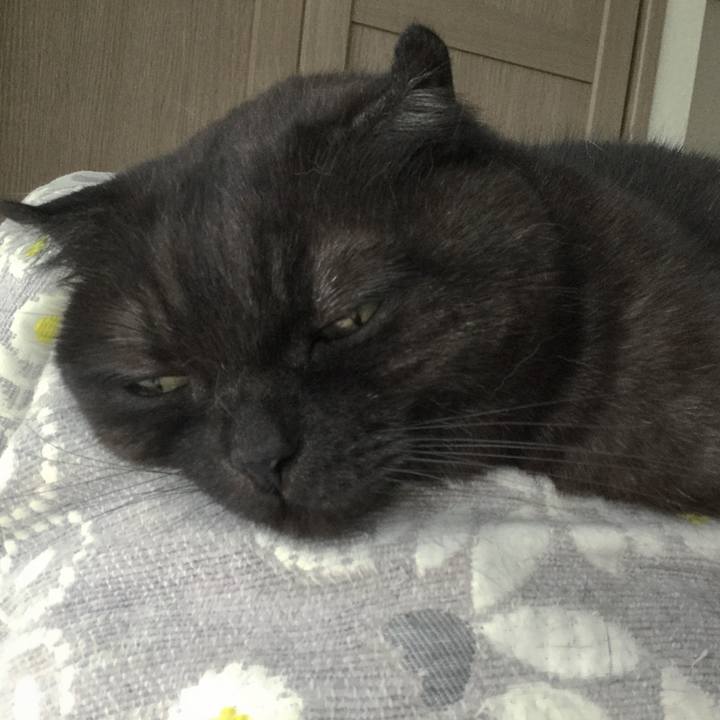 D3394092 6eba 401c 9d17 5ff5e2aaacff