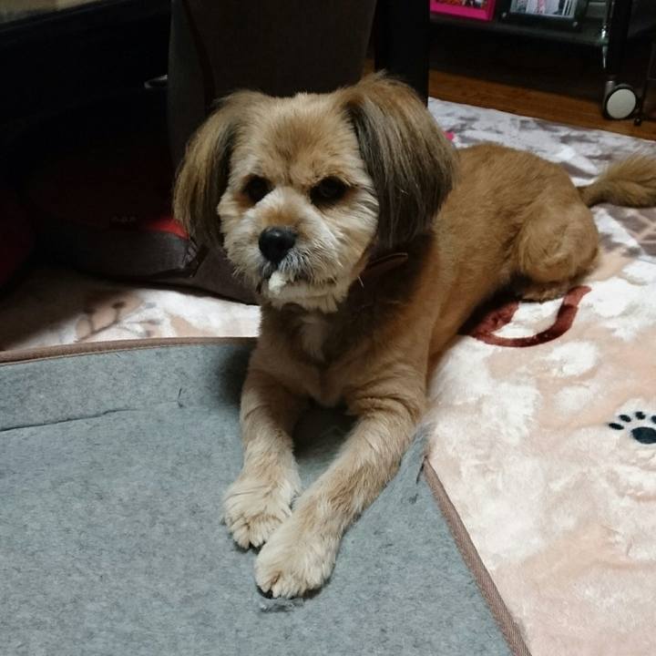 D33a1818 1857 411d a963 0c468a83e5d0