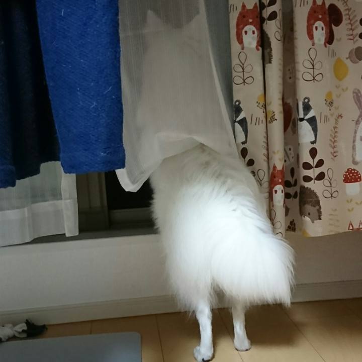 D33add87 c56d 438e bf62 bd2cbcf53baa