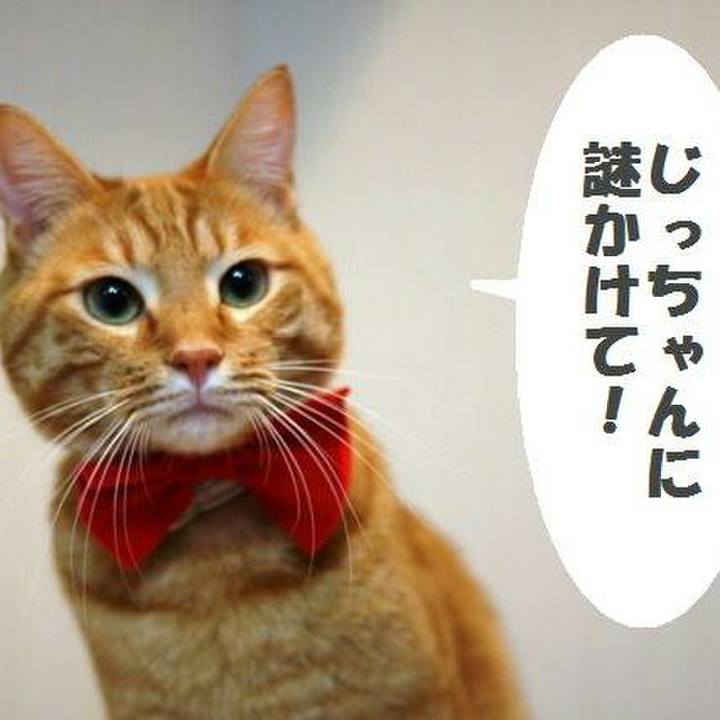 D33b2614 8aeb 4f3b 9bfe 56e8256dc2a9